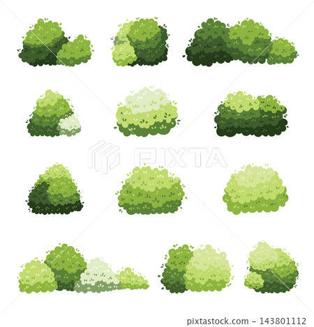 different types of trees isolated on white background different types of trees isolated on white background 143801112