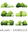 different types of tree isolated on white background 143801113