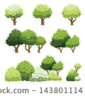 different trees collection isolated on white background 143801114