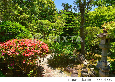 新藥師寺庭園 新藥師寺庭園 143801339