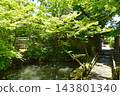 The garden of Shin-Yakushi-ji Temple The garden of Shin-Yakushi-ji Temple 143801340