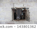 Black cow looking out of a wooden window in a brick stable wall 143801362