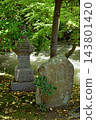 Stone Buddhas and stone pagodas covered in greenery at Shin-Yakushiji Temple Stone Buddhas and stone pagodas covered in greenery at Shin-Yakushiji Temple 143801420