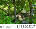 The garden of Shin-Yakushi-ji Temple The garden of Shin-Yakushi-ji Temple 143801517
