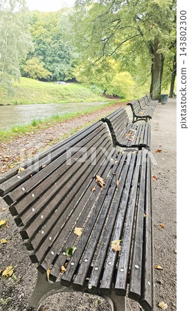 Row of empty wooden park benches beside a calm river, with autumn leaves, green trees, and a paved riverside walkway in a landscaped park setting 143802300