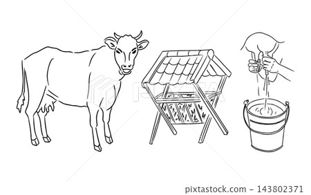 Cow beside a wooden milking stool and bucket with hands expressing liquid in a simple black line illustration on a white background 143802371