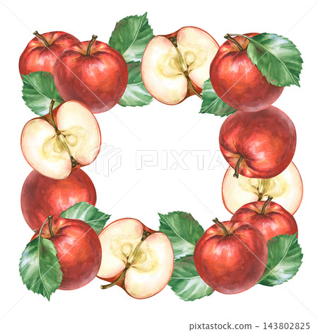 Watercolor red apple square frame wreath with half cut slices and green leaves on a isolated background Watercolor red apple square frame wreath with half cut slices and green leaves on a isolated background 143802825