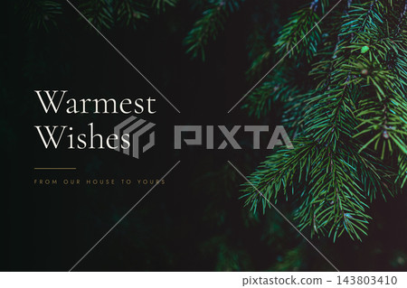 Spruce branches on dark - warmest wishes luxury christmas greeting card 143803410