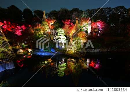東京都豐島區目白庭園紅葉彩燈 東京都豐島區目白庭園紅葉彩燈 143803584
