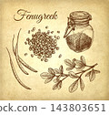 Fenugreek Spice and Botanical Sketch Set 143803651