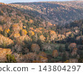 Autumn scenery unfolds along the Aspite Line in Hachimantai, Iwate Prefecture, with its vibrant colors of Abies mariesii, Betula ermanii, and Sorbus commixta. 143804297
