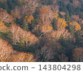 Autumn scenery unfolds along the Aspite Line in Hachimantai, Iwate Prefecture, with its vibrant colors of Abies mariesii, Betula ermanii, and Sorbus commixta. 143804298