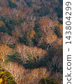 Autumn scenery unfolds along the Aspite Line in Hachimantai, Iwate Prefecture, with its vibrant colors of Abies mariesii, Betula ermanii, and Sorbus commixta. 143804299