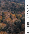 Autumn scenery unfolds along the Aspite Line in Hachimantai, Iwate Prefecture, with its vibrant colors of Abies mariesii, Betula ermanii, and Sorbus commixta. 143804300