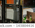 A weathered black storefront door shows old glass panels, chipped paint, and bright sunlight. The scene includes a white brick wall, window reflections, plants, and a wooden chair outside a small shop 143804416