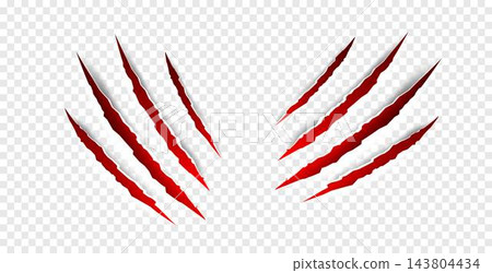 Halloween Claws scratches - vector isolated. Claws scratches animal claw tracks cat or tiger bear or lion attack nails scratches. Horror, Halloween monster. Vector 143804434