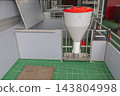 Hooper Feeder Pig Farm 143804998