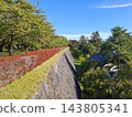 盛岡城遺址公園：高聳的石牆和鮮豔的紅色吊鐘花。 143805341