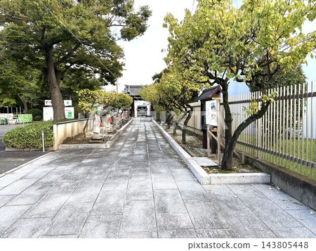 維護良好的石板路通往寺廟,路兩旁有地藏菩薩像和樹木。 維護良好的石板路通往寺廟,路兩旁有地藏菩薩像和樹木。 143805448