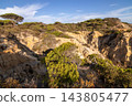 Scenic landscape of golden sandstone cliffs and pine forest in Donana National Park, Huelva, Spain. Ideal for travel guides, eco-tourism ads, and nature blogs. 143805477