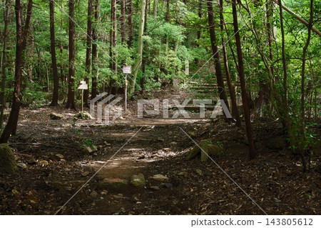 滋賀縣三上山的健行步道 滋賀縣三上山的健行步道 143805612