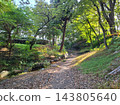 盛岡城遺址公園：螢火蟲村莊－陽光斑駁的小溪和秋日漫步步道。 143805640