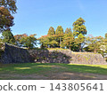盛岡城遺址公園多功能廣場（淡島丸）的草坪，以及在你面前延伸的雄偉而古老的石牆。 143805641