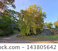在盛岡城遺址公園的淡島丸廣場（多功能廣場）上，矗立著一棵美麗的垂枝桂樹和一面石牆。 143805642