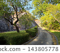 在盛岡城遺址公園，沿著昔日虎屋敷（老虎住所）遺址的石牆，一條步行小徑兩旁綠樹成蔭，陽光斑駁。 143805778
