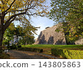 盛岡城遺址公園：從草坪和樹林可以看到雄偉的石牆，秋葉在彥藏附近飄落，景色壯麗。 143805863