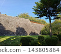 盛岡城遺址公園：高大的松樹和高聳的石牆在湛藍的秋天天空下格外醒目。 143805864