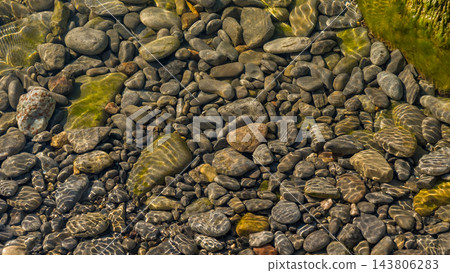 Clear shallow water flowing over smooth stones with green algae and rippling sunlight patterns in a natural streambed landscape Clear shallow water flowing over smooth stones with green algae and rippling sunlight patterns in a natural streambed landscape 143806283
