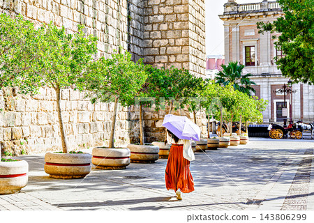 A woman in a red dress with a white umbrella, walking alongside the stone wall and medieval towers of the historic Real Alcazar of Seville, Andalusia, Spain A woman in a red dress with a white umbrella, walking alongside the stone wall and medieval towers of the historic Real Alcazar of Seville, Andalusia, Spain 143806299
