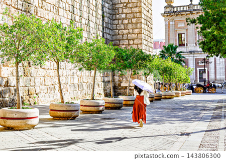 A woman in a red dress with a white umbrella, walking alongside the stone wall and medieval towers of the historic Real Alcazar of Seville, Andalusia, Spain 143806300