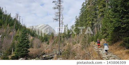 Two hikers climb a rocky mountain trail through a dense coniferous forest Two hikers climb a rocky mountain trail through a dense coniferous forest 143806309