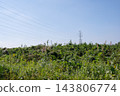 A pastoral landscape of rural grasslands and transmission towers. 143806774