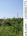 A pastoral landscape of rural grasslands and transmission towers. 143806775