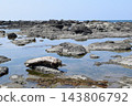 莊內海岸的岩石景觀 143806792