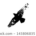 An abstract bird made of smaller birds . silhouette flock hand drawing. Not AI. Vector illustration 143806835