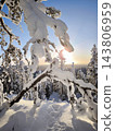 A snow-covered arch made of branches in a winter forest during a bright, sunny sunset. Koli, Finland 143806959