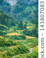 The terraced rice fields of Hoshitoge, where a gentle rain falls [Tokamachi City] 143807083
