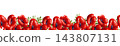 Red poppy flowers seamless vector border with green leaves 143807131