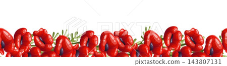 Red poppy flowers seamless vector border with green leaves Red poppy flowers seamless vector border with green leaves 143807131