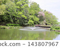 A refreshing spring park 143807967