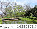A refreshing spring park 143808238