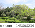 Spring in the park 143808239