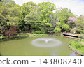 Springtime park, fountain by the pond 143808240