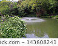Refreshing Japanese snowbell flowers 143808241