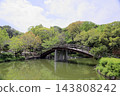 Springtime park, Taiko Bridge 143808242