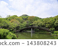 Springtime park, Taiko Bridge 143808243